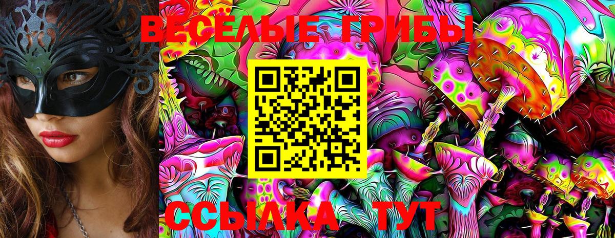 Химки  Псилоцибиновые грибы Psilocybe  Вход с VPN 