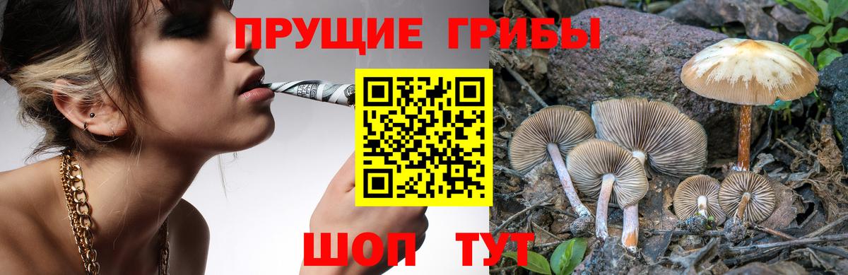 Галлюциногенные грибы ЛСД Химки